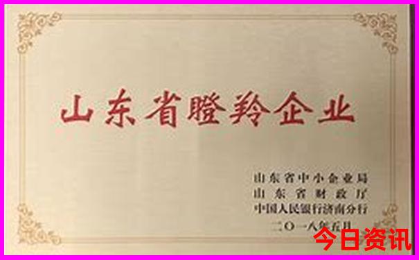 东山岛两日游最佳路线